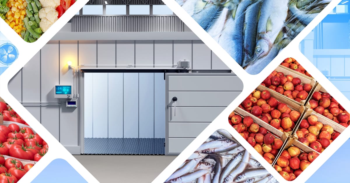 cold storage facility image with fruit vegetables and fish