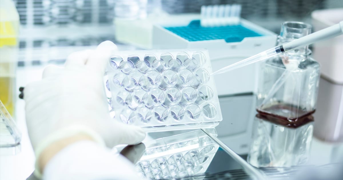 biology medicine and medical laboratory photo and cell culturing multi well plate and pipette safety cabinet