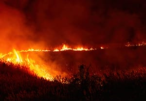Wildfire - Landscape View of Fire Burning Grass and Trees at Night